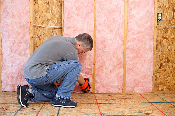 Best Crawl Space Insulation  in Petersburg, VA